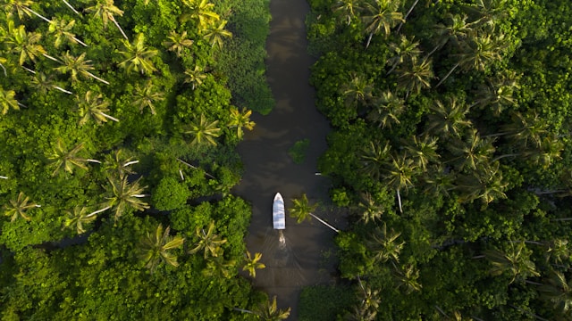 Traditional houseboat in Alleppey backwaters